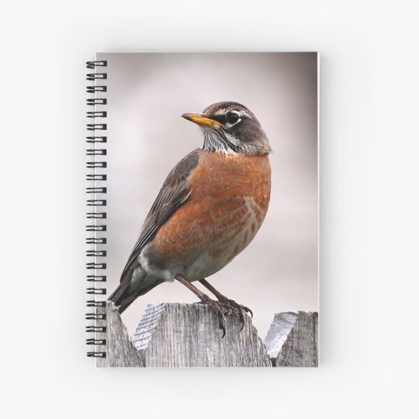 At A Glance Spiral Notebook