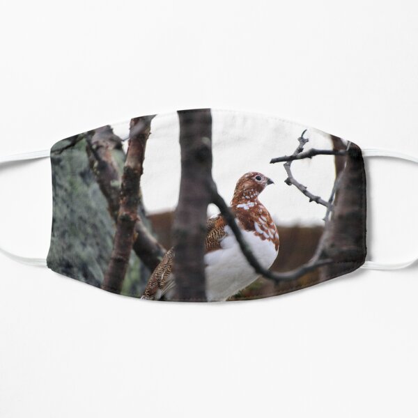 Willow Grouse Flat Mask