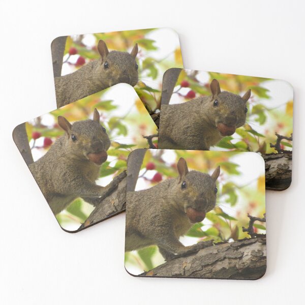 Item preview, Sometime You Feel Like A Nut designed and sold by Denise Larson.