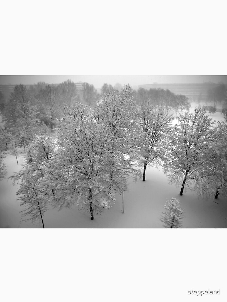 Looking down on snowy trees by steppeland