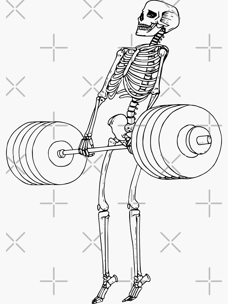 Skeleton Weightlifting Workout Gifts Sticker for Sale by KingMasterStore