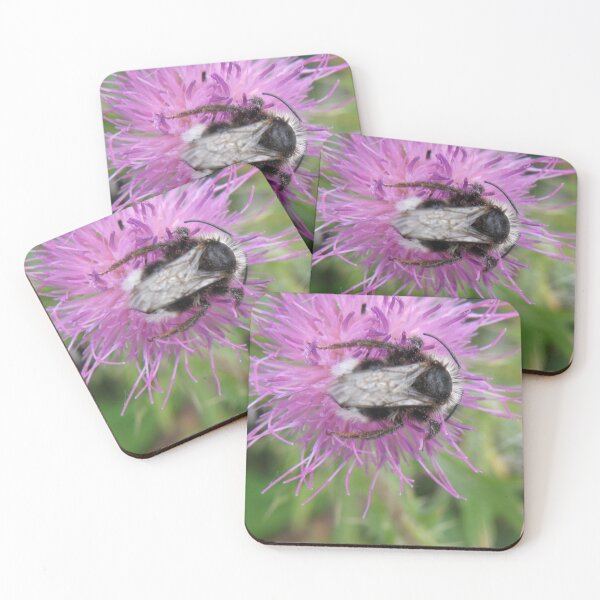 Item preview, Cuckoo Bumblebee and Pretty Pink Flower Photograph designed and sold by naturegallery.