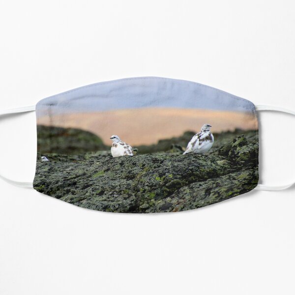 Rock Ptarmigan Flat Mask