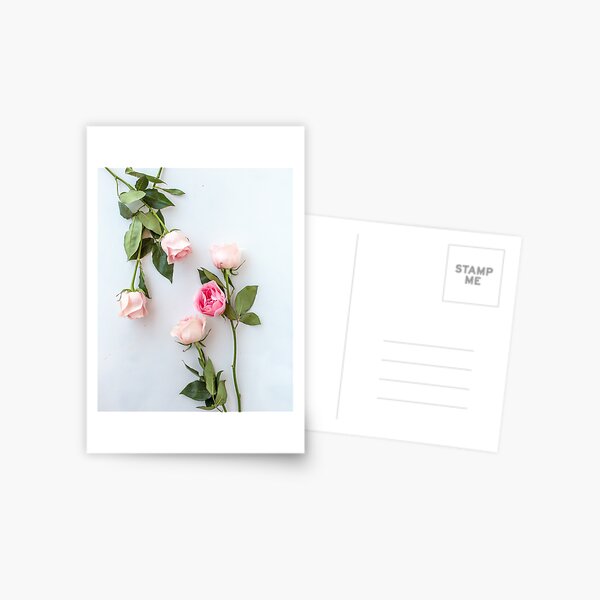 Item preview, Blush Pink Roses designed and sold by newburyboutique.