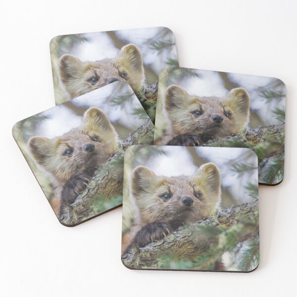 Item preview, American Pine Marten designed and sold by Jukka Jantunen.