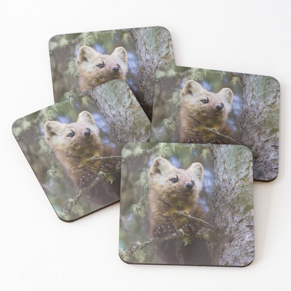 Item preview, American Pine Marten designed and sold by Jukka Jantunen.