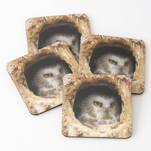 Item preview, Peaking Owl designed and sold by Denise Larson.