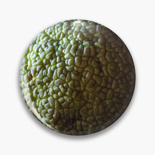 Item preview, Hedge Apple, Maclura pomifera. designed and sold by Billlee.
