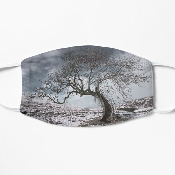Frandy Tree in Winter Flat Mask