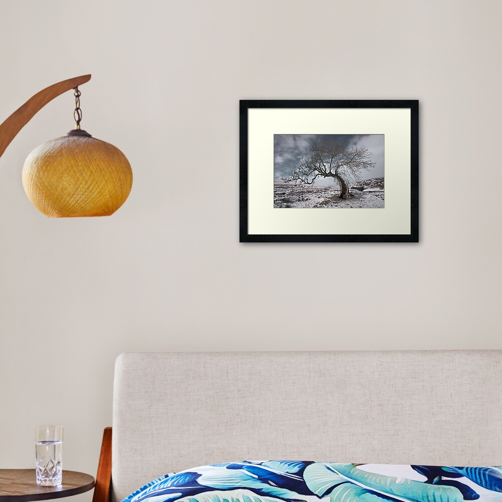 Frandy Tree in Winter Framed Art Print