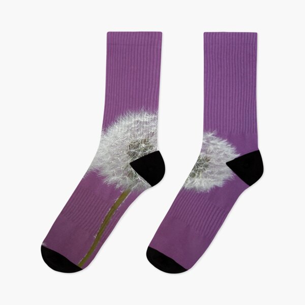 Item preview, three dandleions purple background  designed and sold by Stephanie  Skeem.