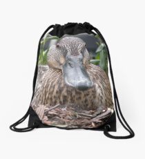 Nesting Duck, Baltimore Inner Harbour Drawstring Bag