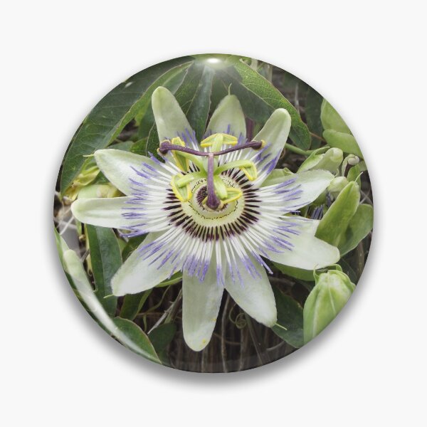 Item preview, Passion flower designed and sold by greentiger1.