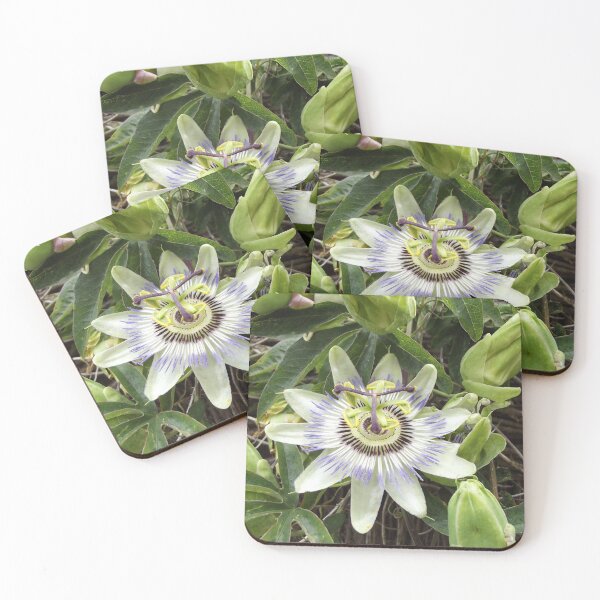 Item preview, Passion flower designed and sold by greentiger1.