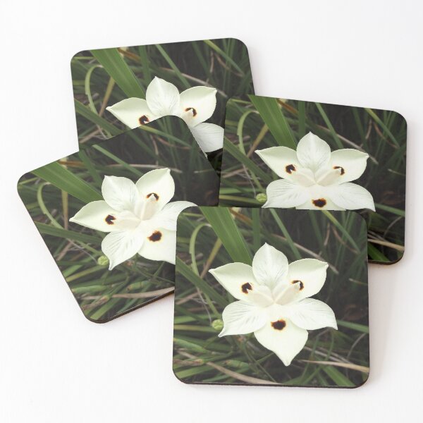 Item preview, Dietes bicolor designed and sold by greentiger1.