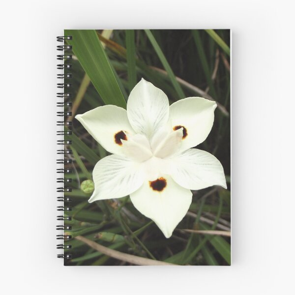 Item preview, Dietes bicolor designed and sold by greentiger1.
