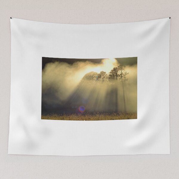 Item preview, Fog Veil designed and sold by TheaShutterbug.