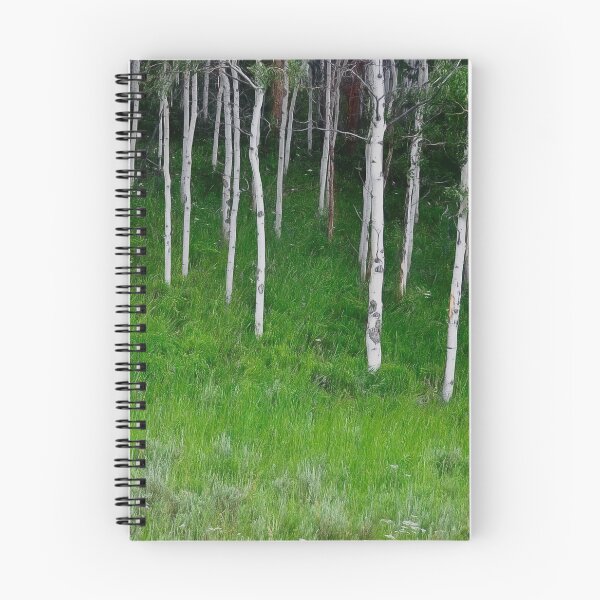 Item preview, Uinta Aspens designed and sold by sernad.
