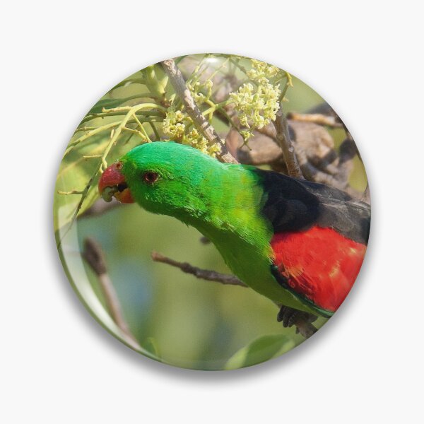 Item preview, NT ~ PARROT ~  Red-winged Parrot PaoMNjm3 by David Irwin 31012021 designed and sold by tasmanianartist.