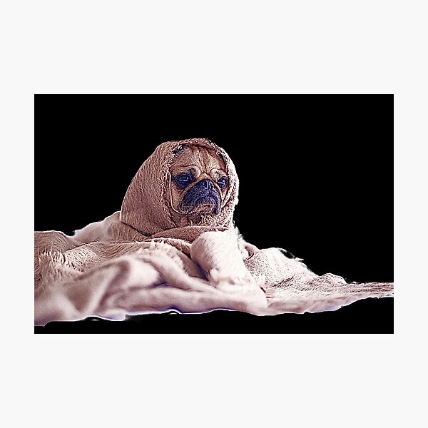 Aperçu de l'œuvre dog créée et vendue par creativeitems.