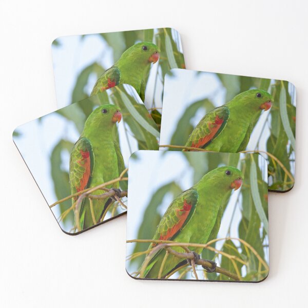 Item preview, NT ~ PARROT ~ Red-winged Parrot b4TAHEEq by David Irwin 31012021 designed and sold by tasmanianartist.