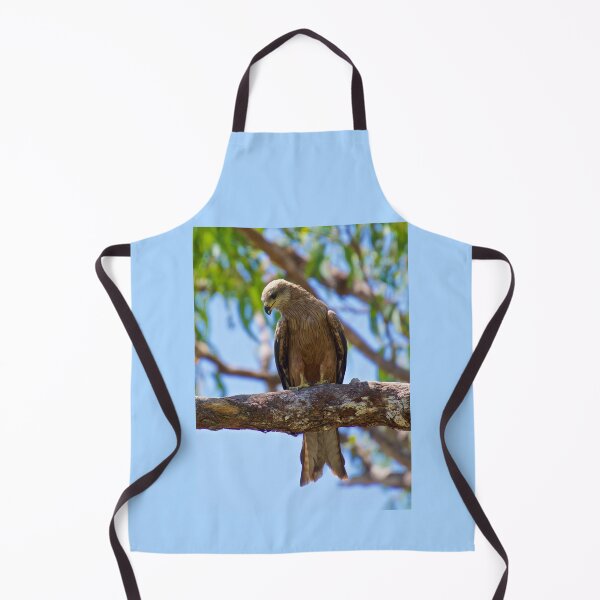 Item preview, NT ~ RAPTOR ~ Square-tailed Kite HKCECDQQ by David Irwin 31012021 designed and sold by tasmanianartist.