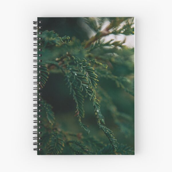 Aperçu de l'œuvre Photographie de pin créée et vendue par Rosie D..