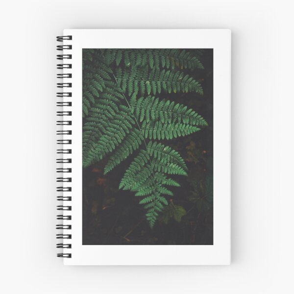 Artikelvorschau, Dunkler Farn-Blatt-Wald-Fotografie entworfen und verkauft von Rosie D..