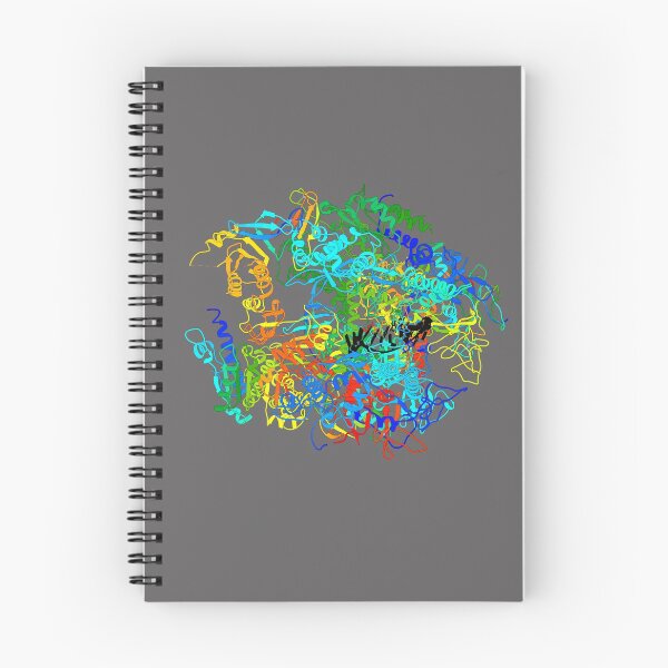 Item preview, RNA Polymerase II designed and sold by 3D Biology.