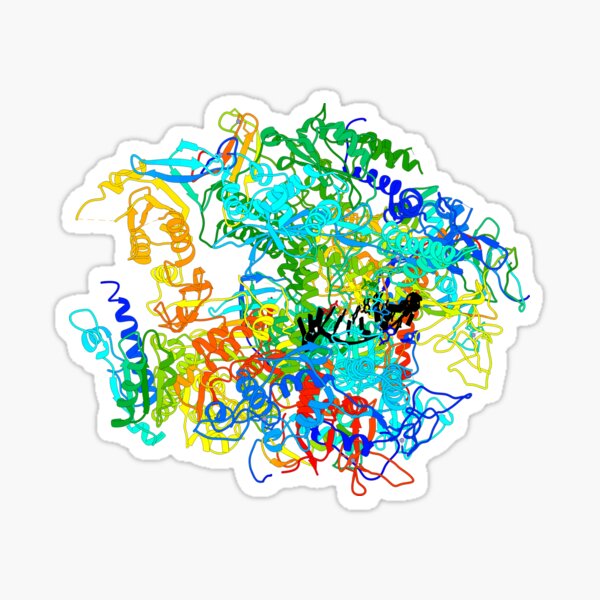 Item preview, RNA Polymerase II designed and sold by 3D Biology.