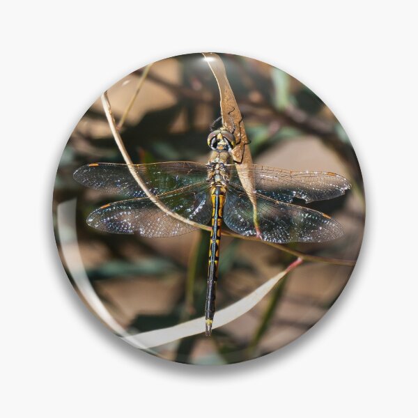 Item preview, Dragonfly at Rest designed and sold by Varietas.