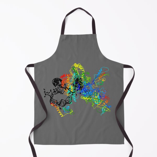 Item preview, Telomerase designed and sold by 3D Biology.