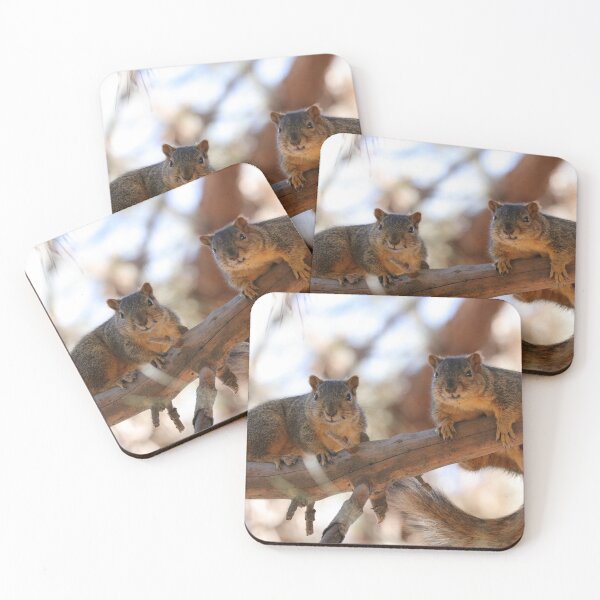 Item preview, Squirrels designed and sold by MelKowasic.