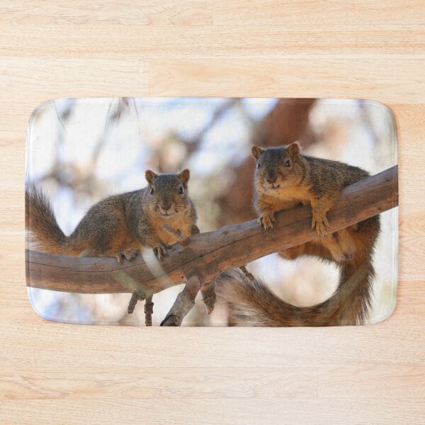 Item preview, Squirrels designed and sold by MelKowasic.