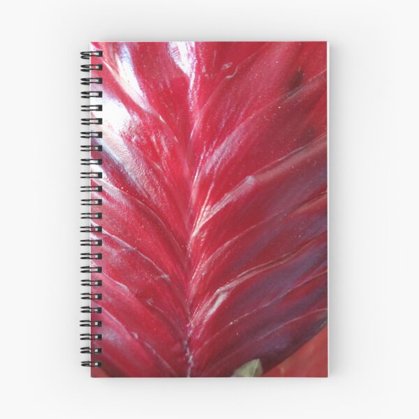 Item preview, Flower red bromeliads designed and sold by Ana Belaj.