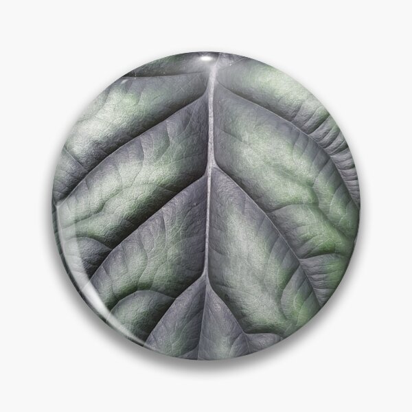 Item preview, alocasia dragon scale leaf designed and sold by kimcrunner.