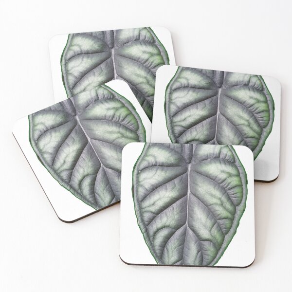 Item preview, alocasia dragon scale leaf designed and sold by kimcrunner.
