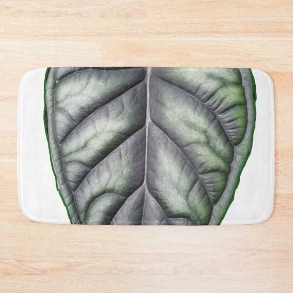 Item preview, alocasia dragon scale leaf designed and sold by kimcrunner.