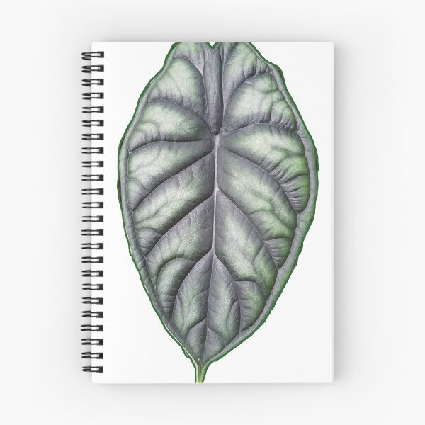 Item preview, alocasia dragon scale leaf designed and sold by kimcrunner.