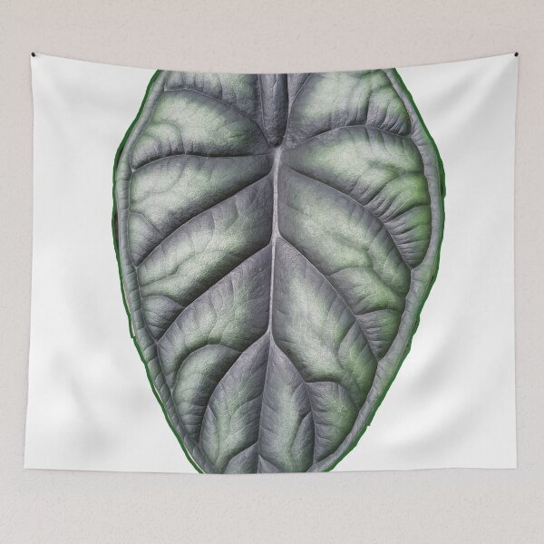 Item preview, alocasia dragon scale leaf designed and sold by kimcrunner.