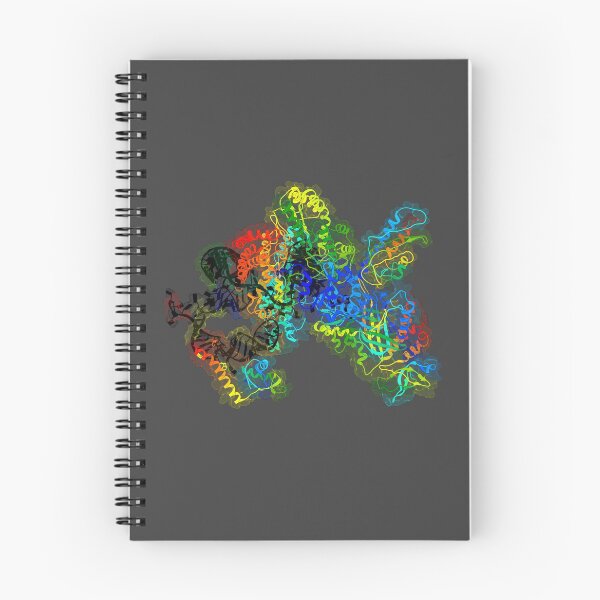 Item preview, Telomerase designed and sold by 3D Biology.