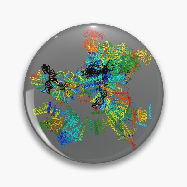 Item preview, Spliceosome designed and sold by 3D Biology.