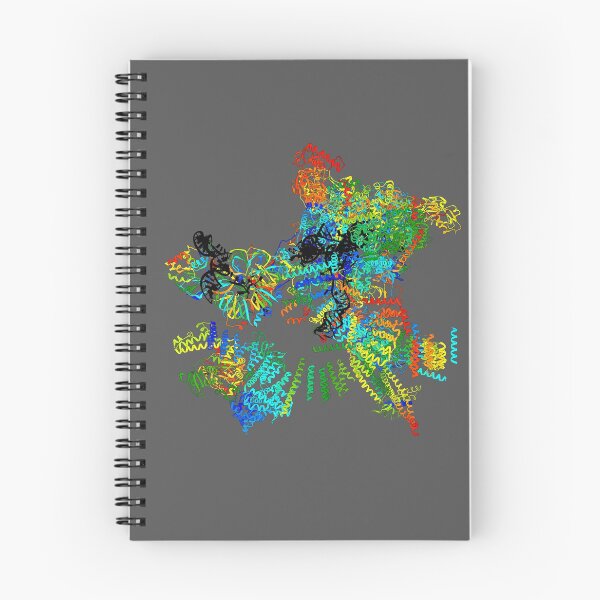 Item preview, Spliceosome designed and sold by 3D Biology.