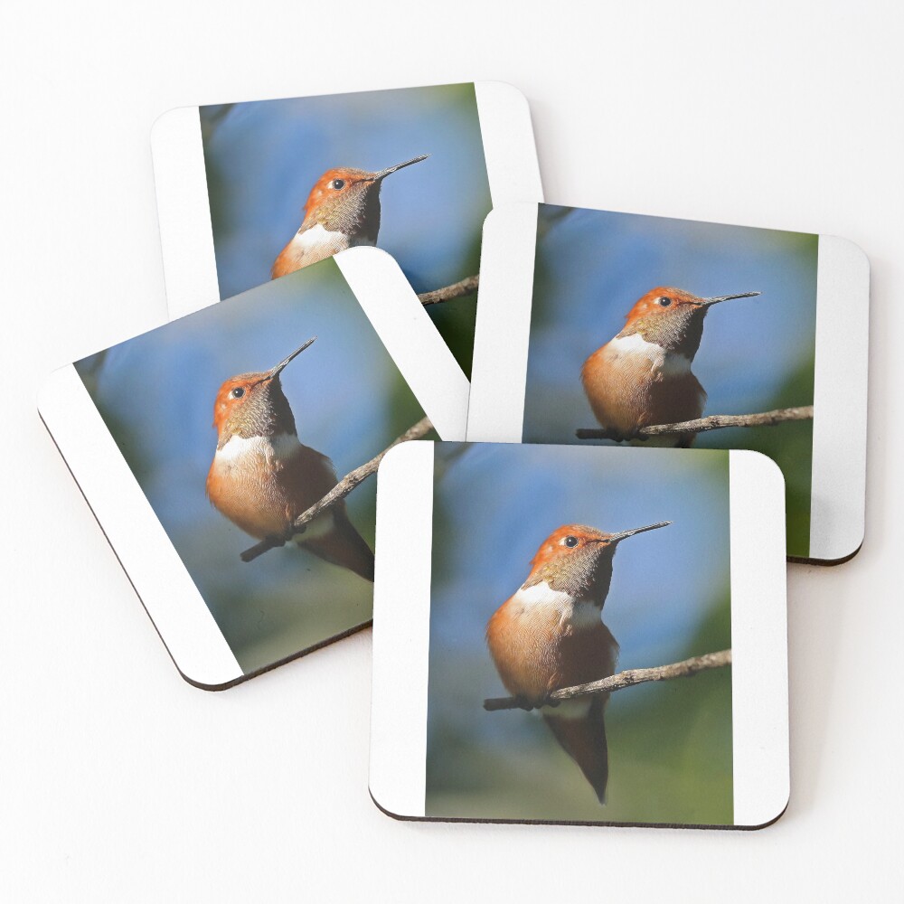 Item preview, Coasters (Set of 4) designed and sold by jozi1.