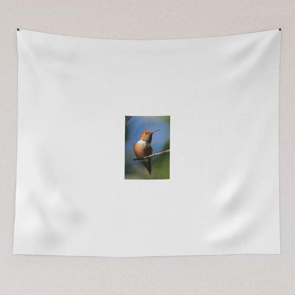 Item preview, Male Rufous Hummingbird designed and sold by Anthony Goldman.