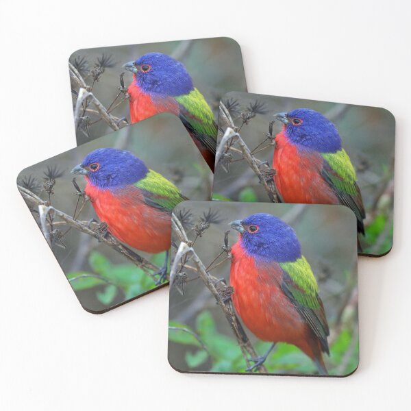 Item preview, Male Painted Bunting designed and sold by Anthony Goldman.