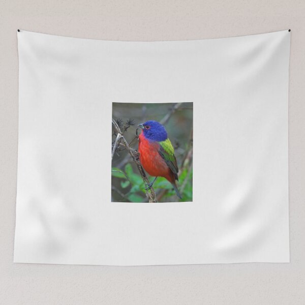 Item preview, Male Painted Bunting designed and sold by Anthony Goldman.