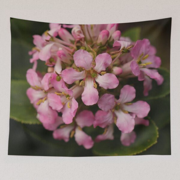 Item preview, Ball of Little Flowers designed and sold by Geoff Treagus.