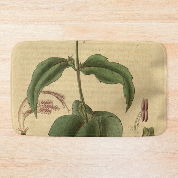 Item preview, Curtis's botanical magazine (Plate 3310) (8202156879) designed and sold by EsotericBotanic.