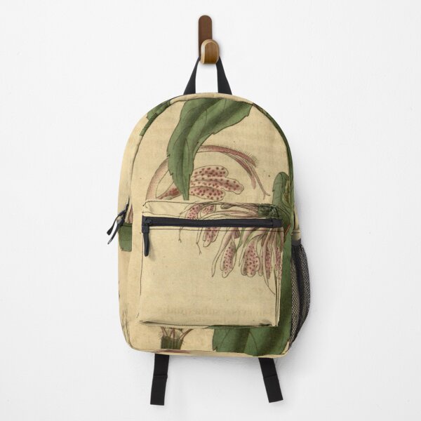 Item preview, Curtis's botanical magazine (Plate 3310) (8202156879) designed and sold by EsotericBotanic.